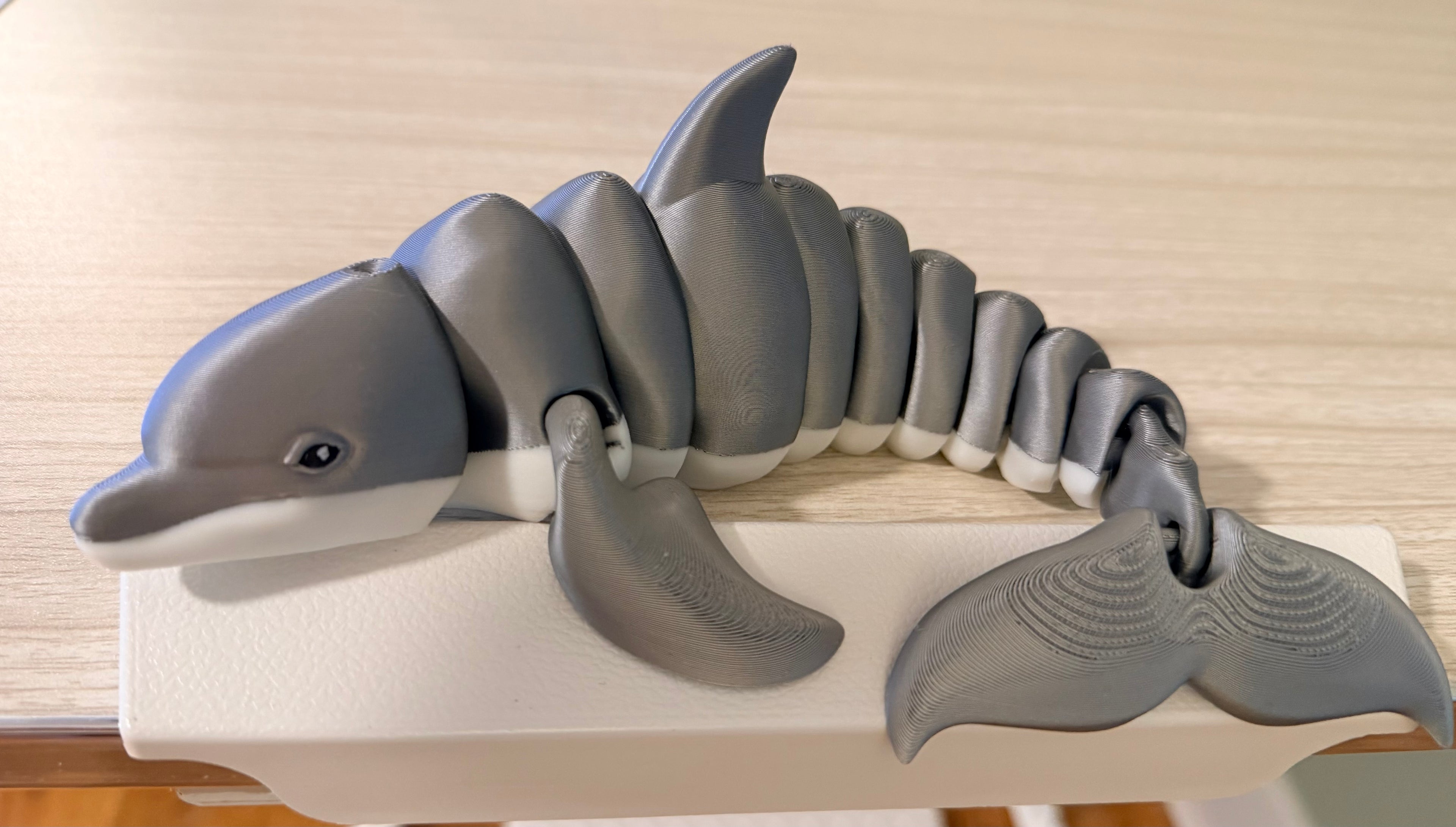 3-D Printed Dolphin
