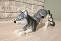 3-D Printed Wolf